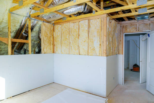 Best Residential Insulation in Wilton Manors, FL