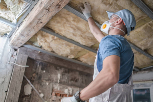 Best Energy Efficiency Insulation in Wilton Manors, FL