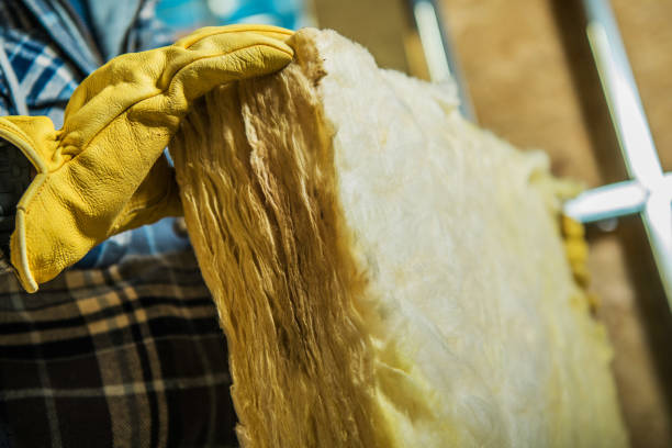 Best Blown-in Insulation in Wilton Manors, FL