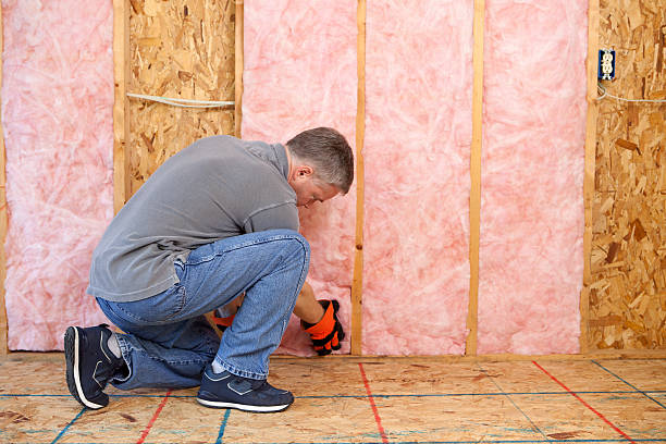 Best Eco-Friendly Insulation in Wilton Manors, FL